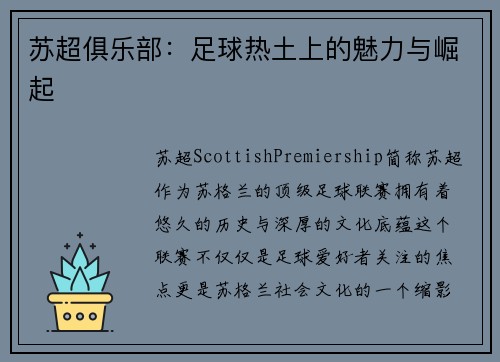 苏超俱乐部：足球热土上的魅力与崛起