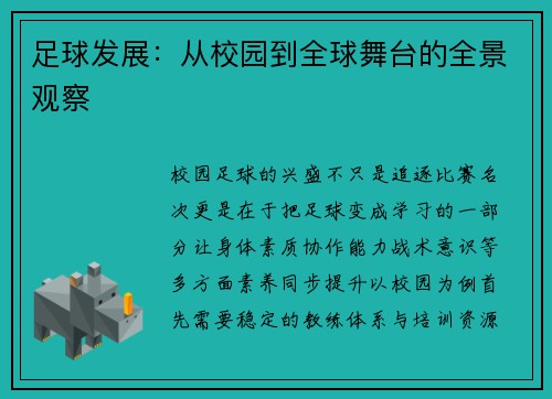 足球发展：从校园到全球舞台的全景观察